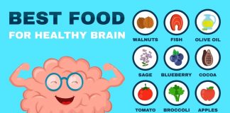 best food for healthy brain