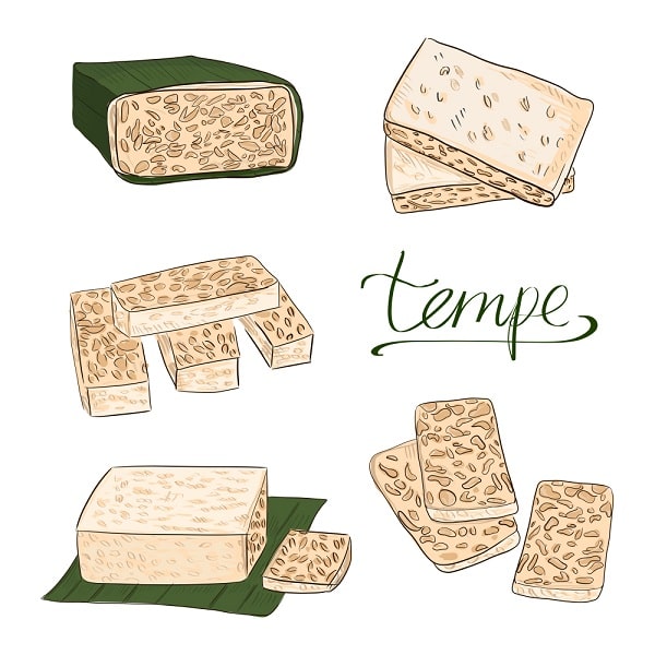 tempeh