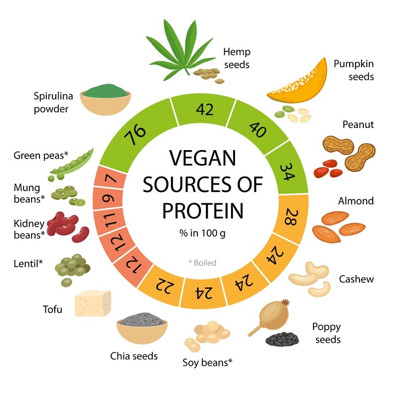 14 Highest Vegan And Vegetarian Protein Sources 9785