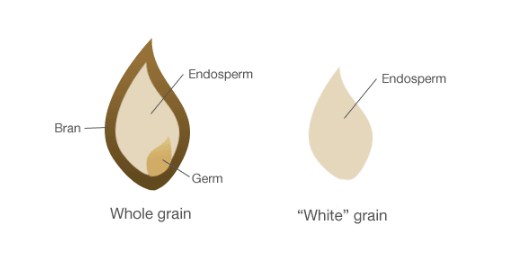 What is the difference between whole and white?