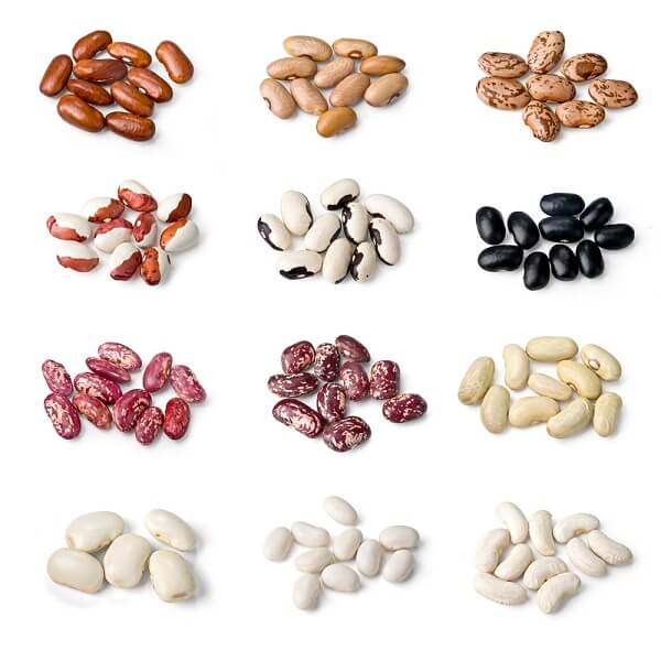 infographic - 12 different types of kidney beans