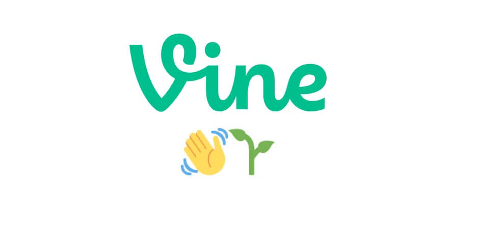 Vine