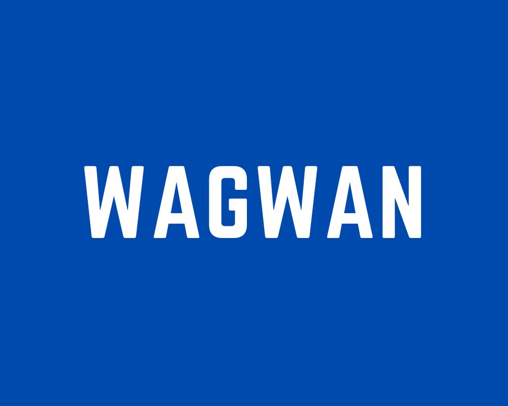 what-does-wagwan-really-mean-a-comprehensive-guide