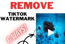 How to Remove Watermark from TikTok Video