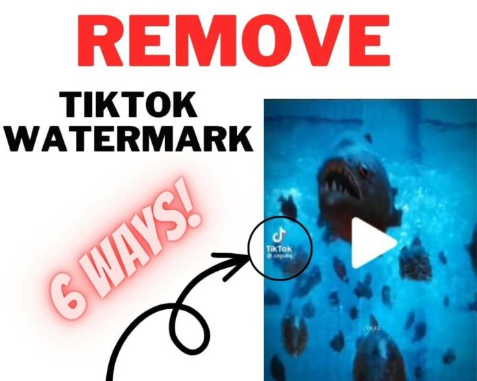 How to Remove Watermark from TikTok Video