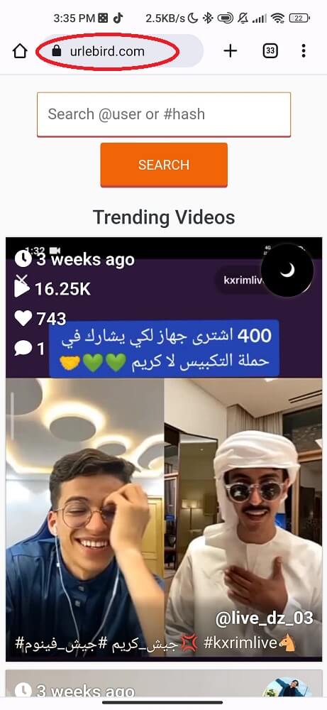 Tiktok Online Viewer Website