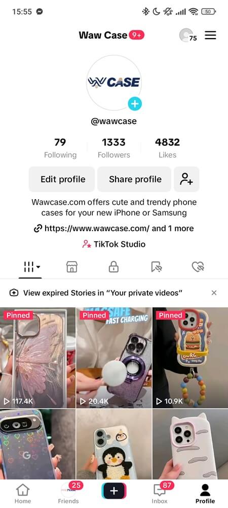 Clean and complete TikTok profile